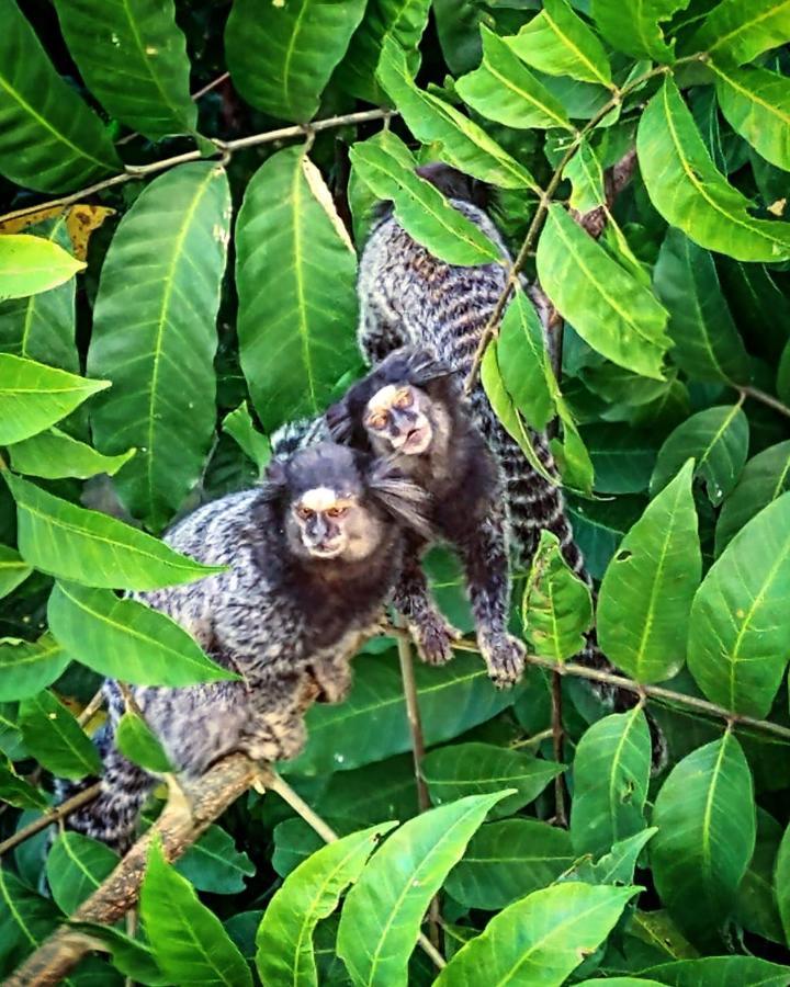 Pousada Costao Do Sol Angra dos Reis Bagian luar foto