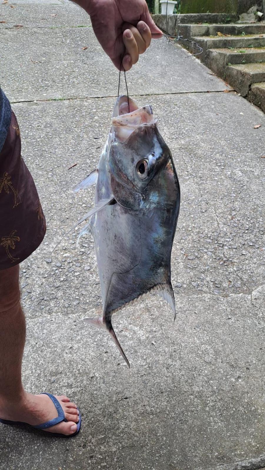Pousada Costao Do Sol Angra dos Reis Bagian luar foto